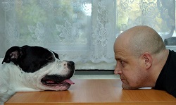 характер человека по собаке