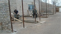 Питомник для бездомных животных