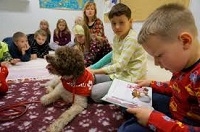 Книжные собаки